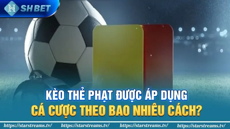 #5 tỷ lệ cá cược kèo thẻ phạt phổ biến nhất 2024 2 Kèo thẻ phạt được áp dụng cá cược theo bao nhiêu cách?